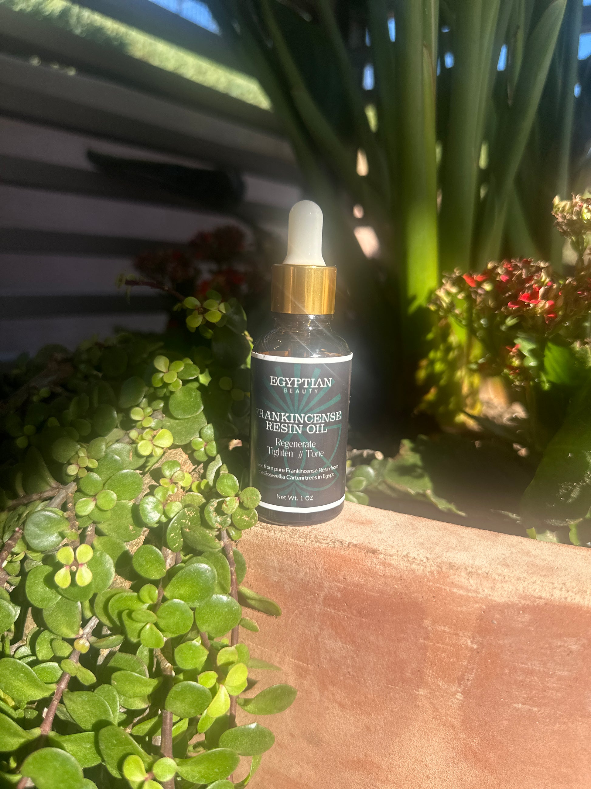 Organic Liquid Gold Frankincense Resin Oil