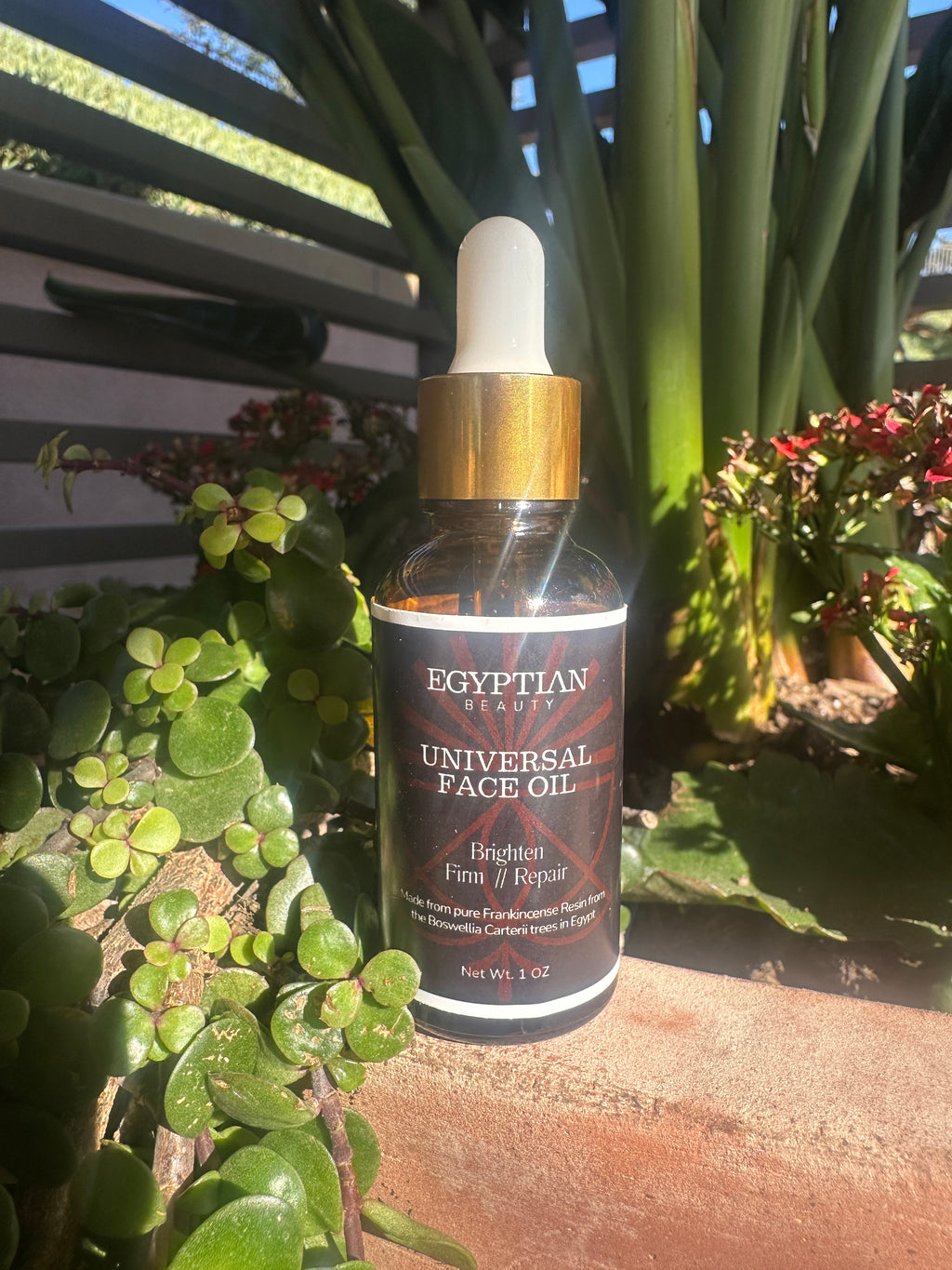 Organic Universal Face & Body Oil