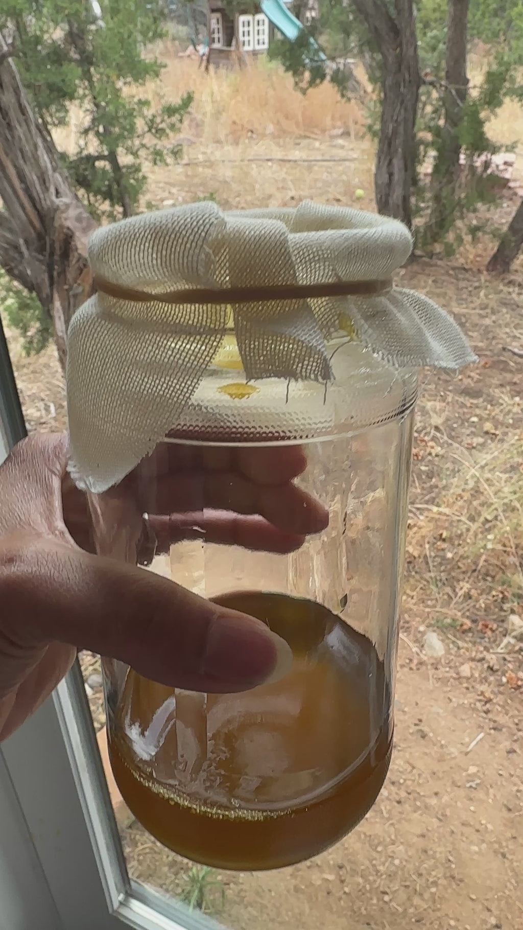 Organic Liquid Gold Frankincense Resin Oil